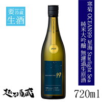 OCEAN99